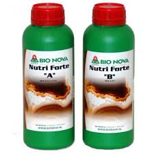 BIO NOVA NUTRIFORTE B 1L - - BIONOVA - FERTILIZANTES