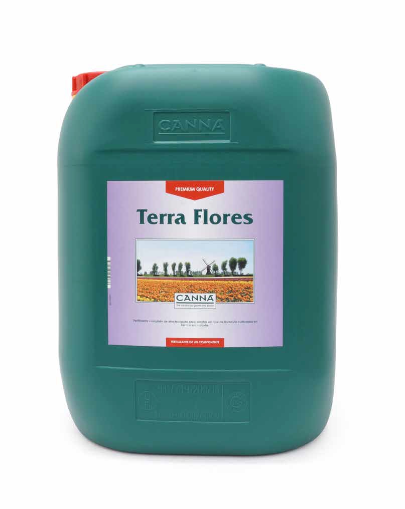TERRA FLORES 20L - - CANNA - FERTILIZANTES