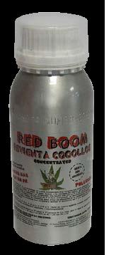 RED BOOM 600 ML (NPK 3-36-39) FULLCREM - - CANNABOOM - FERTILIZANTES