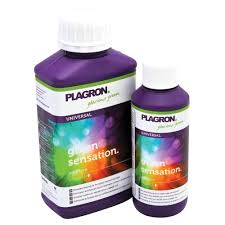 GREEN SENSATION 100 ML. - - PLAGRON - FERTILIZANTES