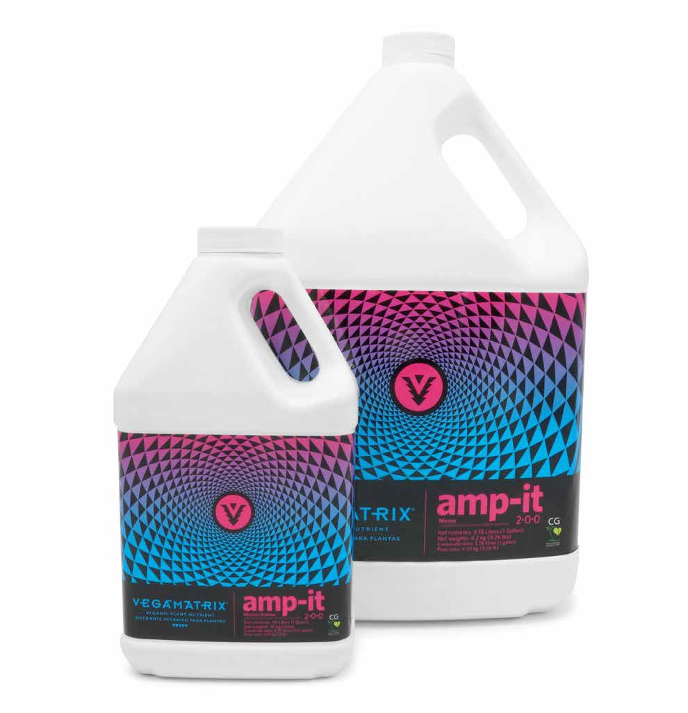 AMP-IT (1/4 GALON) - - VEGAMATRIX - FERTILIZANTES