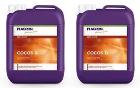 COCO A 5 L. - - PLAGRON - FERTILIZANTES
