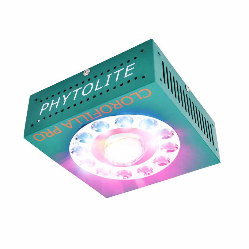 PHYTOLED CLOROFILLA 80W - - PHYTOLED - BOMBILLAS