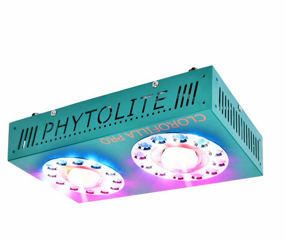 PHYTOLED CLOROFILLA 165W - - PHYTOLED - BOMBILLAS