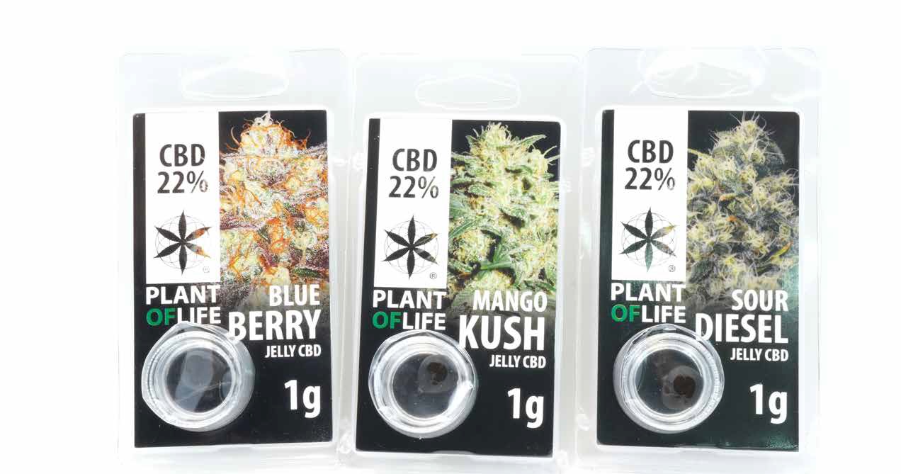 JELLY CBD 22% MANGO KUSH PLANT OF LIFE - - PARAFARMACIA Y COSMETICA - PARAFERNALIA