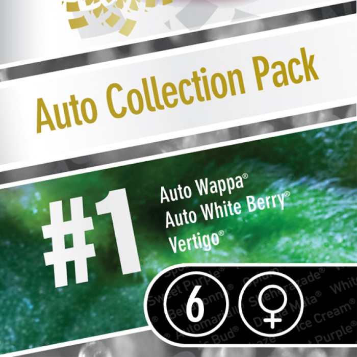 6 UND FEM - AUTO COLLECTION PACK #1 - - PARADISE SEEDS - SEMILLAS